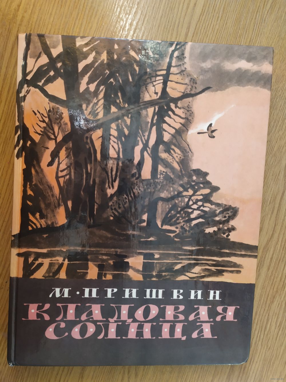 М.Пришвин КЛАДОВАЯ СОЛНЦА015. Купить в Минске — Книги Ay.by. Лот 5033019320