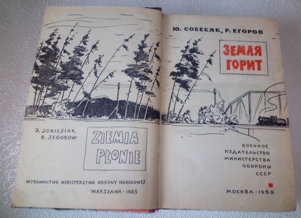 Горит на земле Волгограда — Агашина. Полный текст стихотворения — Горит на земле Волгограда