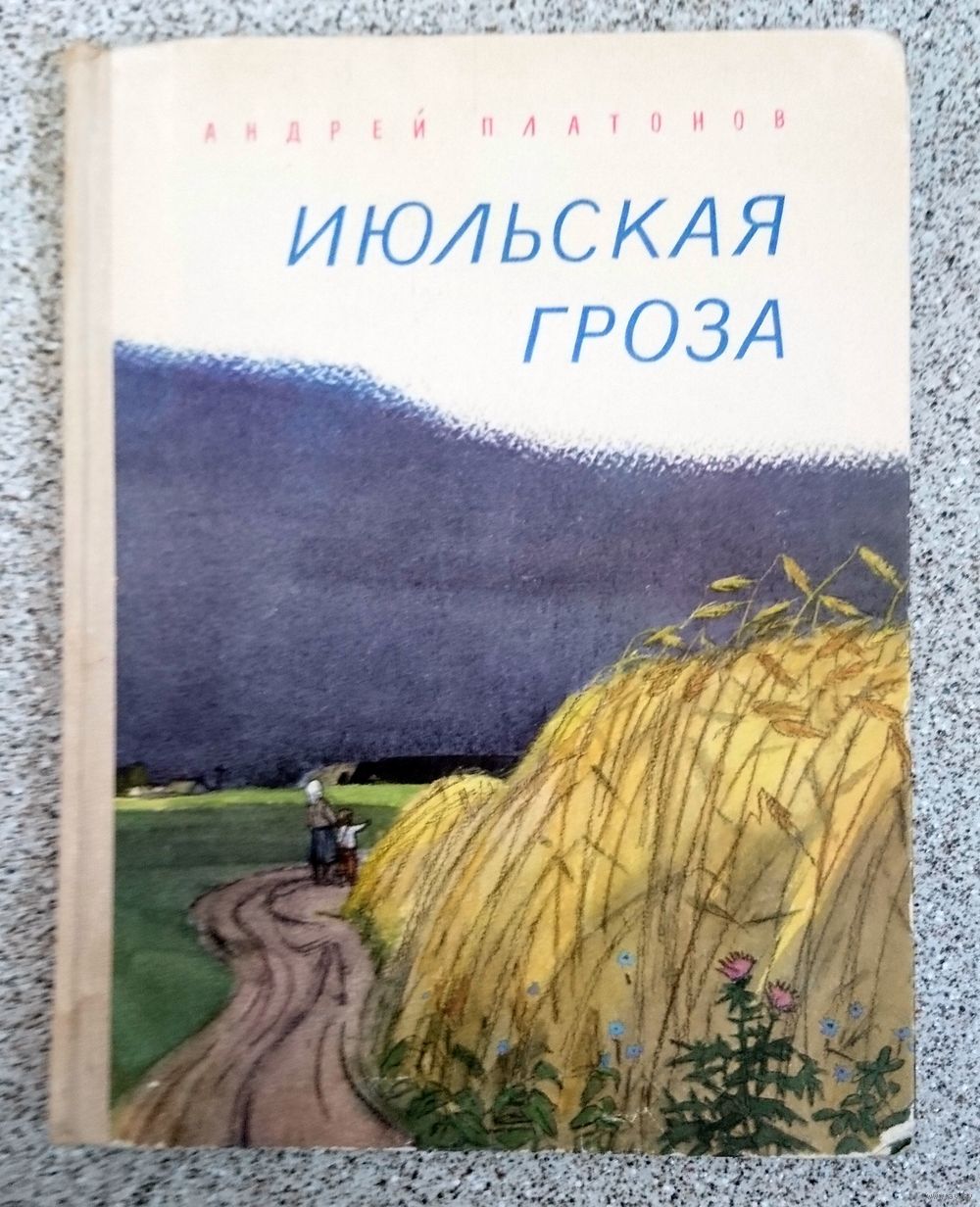 Книга Июльская гроза