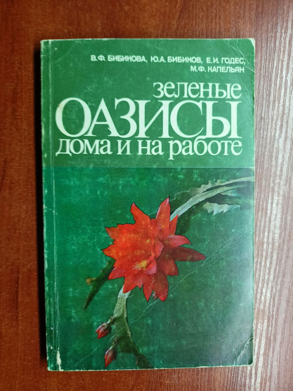 Вероника Бибикова, Юрий Бибиков, Елизавета Годес, Майя Капельян 