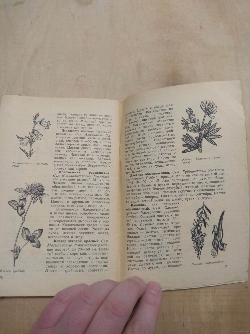 Дидактические игры для ознакомления с растениями. 1981. Купить в Гродно —  Другое Ay.by. Лот 5028972700