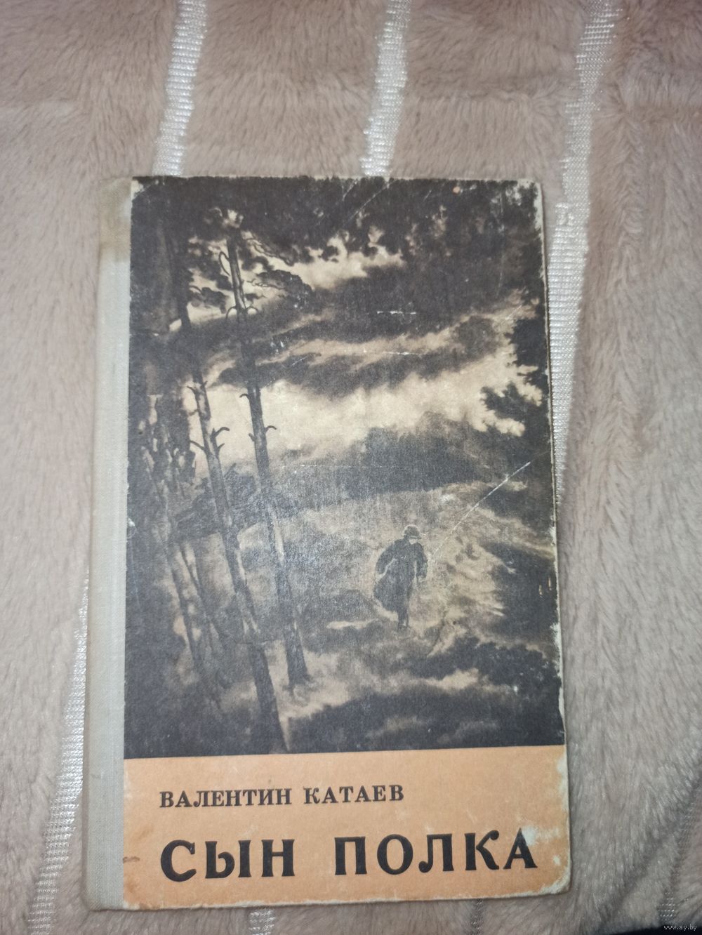 В.Катаев СЫН ПОЛКА: Повесть 1974 г. Купить в Мозыре — Рассказы, повести  Ay.by. Лот 5032847071