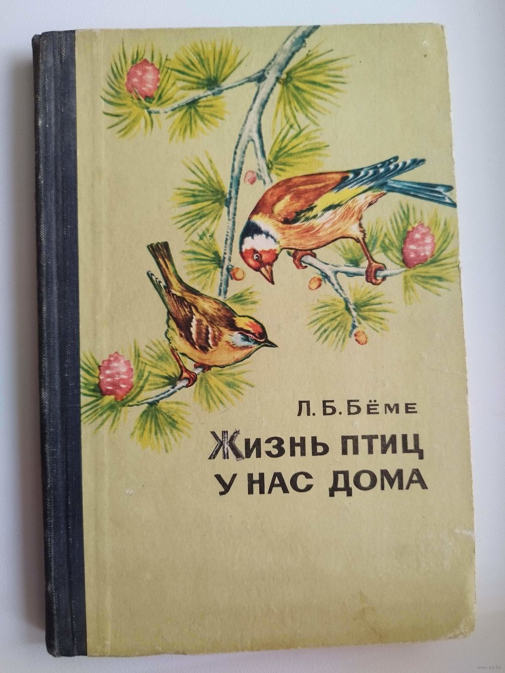 Л.Б. Беме Жизнь птиц у нас дома. Купить в Могилеве — Другое Ay.by. Лот  5037306851