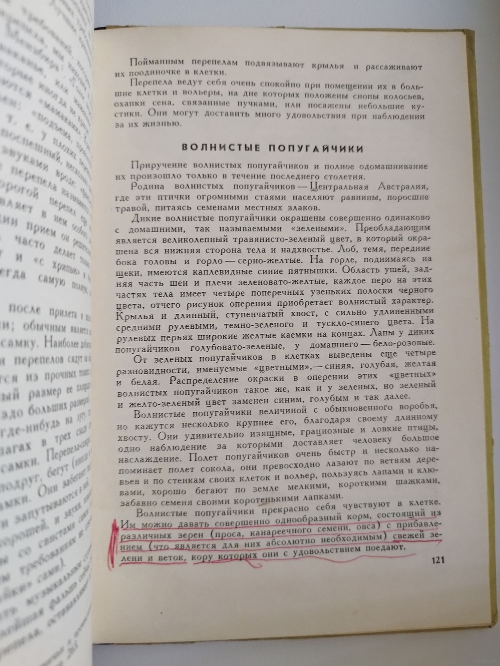 Л.Б. Беме Жизнь птиц у нас дома. Купить в Могилеве — Другое Ay.by. Лот  5037306851