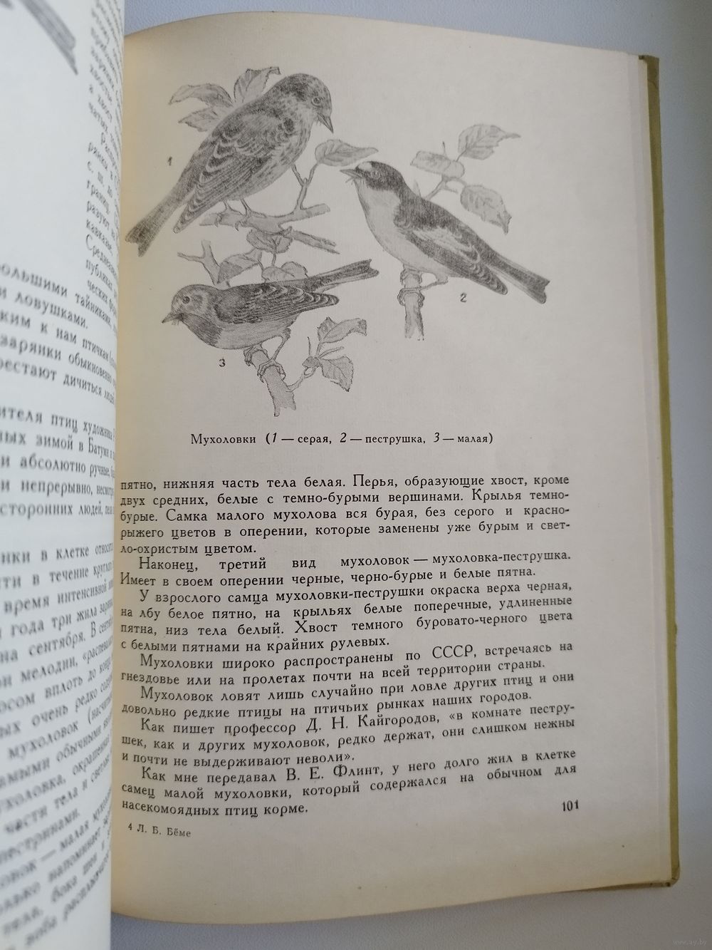 Л.Б. Беме Жизнь птиц у нас дома. Купить в Могилеве — Другое Ay.by. Лот  5037306851