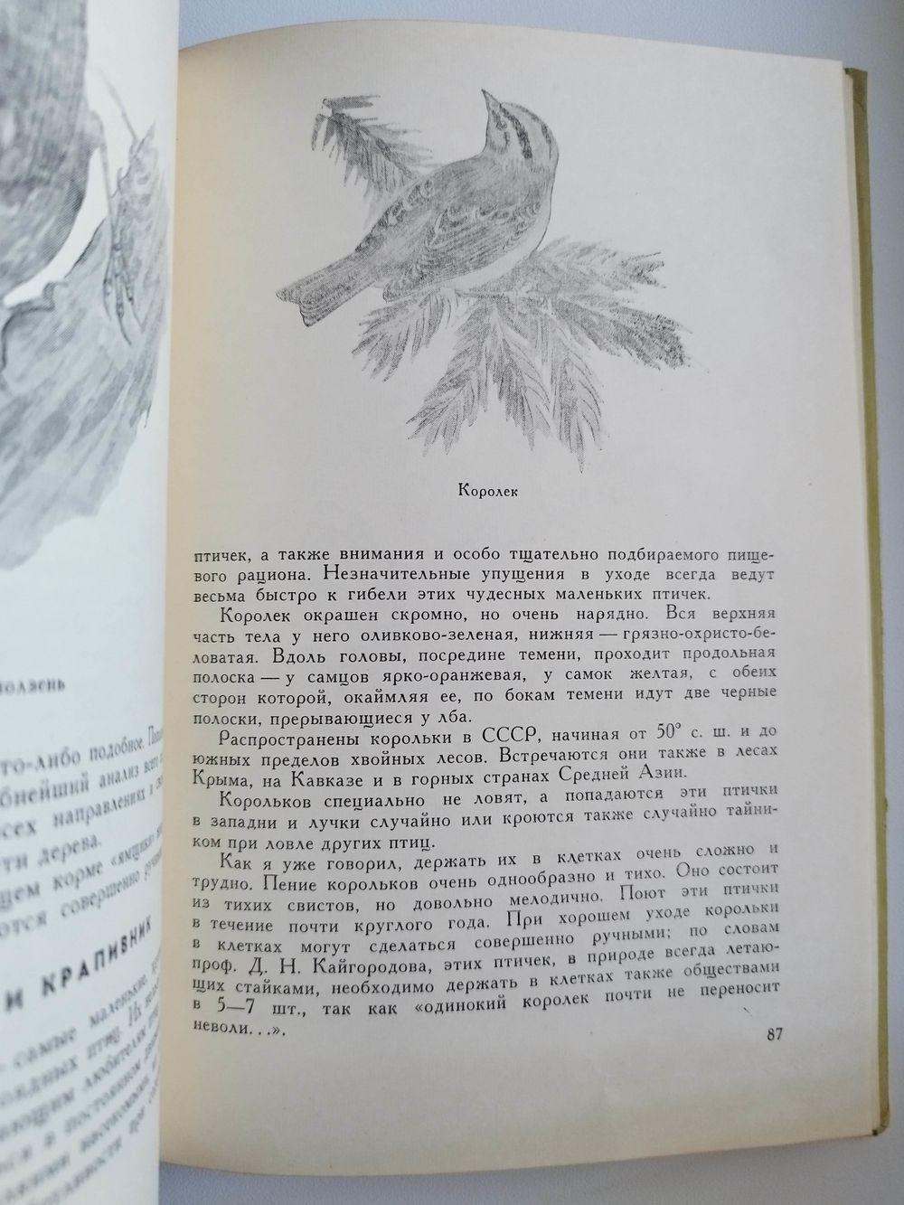 Л.Б. Беме Жизнь птиц у нас дома. Купить в Могилеве — Другое Ay.by. Лот  5037306851