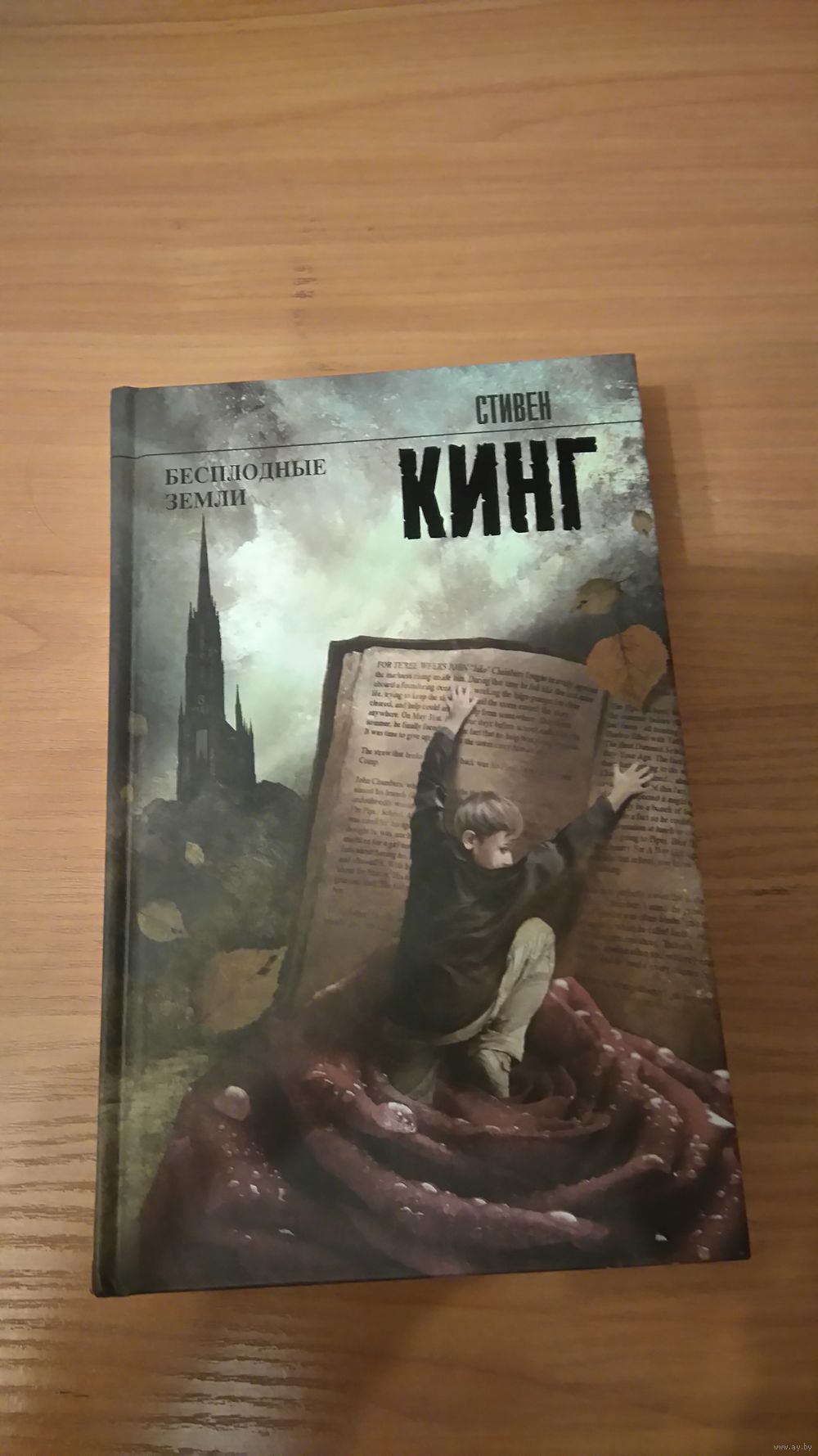 КИНГ БЕСПЛОДНЫЕ ЗЕМЛИ СКАЧАТЬ БЕСПЛАТНО КИНГ БЕСПЛОДНЫЕ ЗЕМЛИ СКАЧАТЬ БЕСПЛАТНО